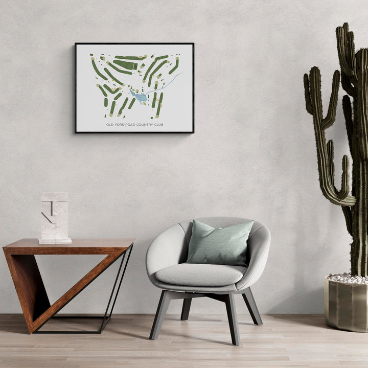 Modern Map of Old York Road Country Club in a living room with large cactus plant