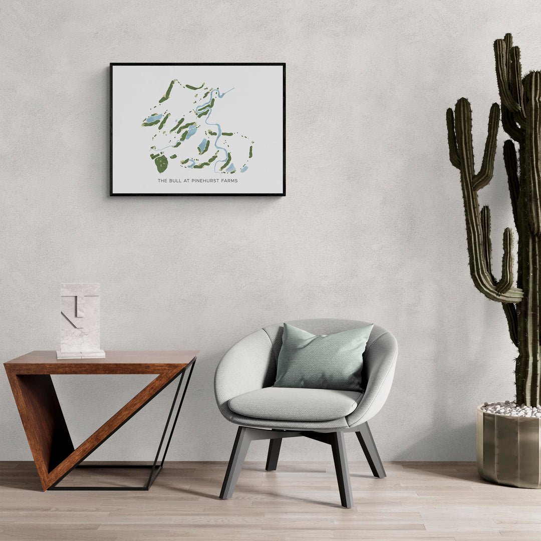 Modern Map of The Bull At Pinehurst Farms in a living room with large cactus plant