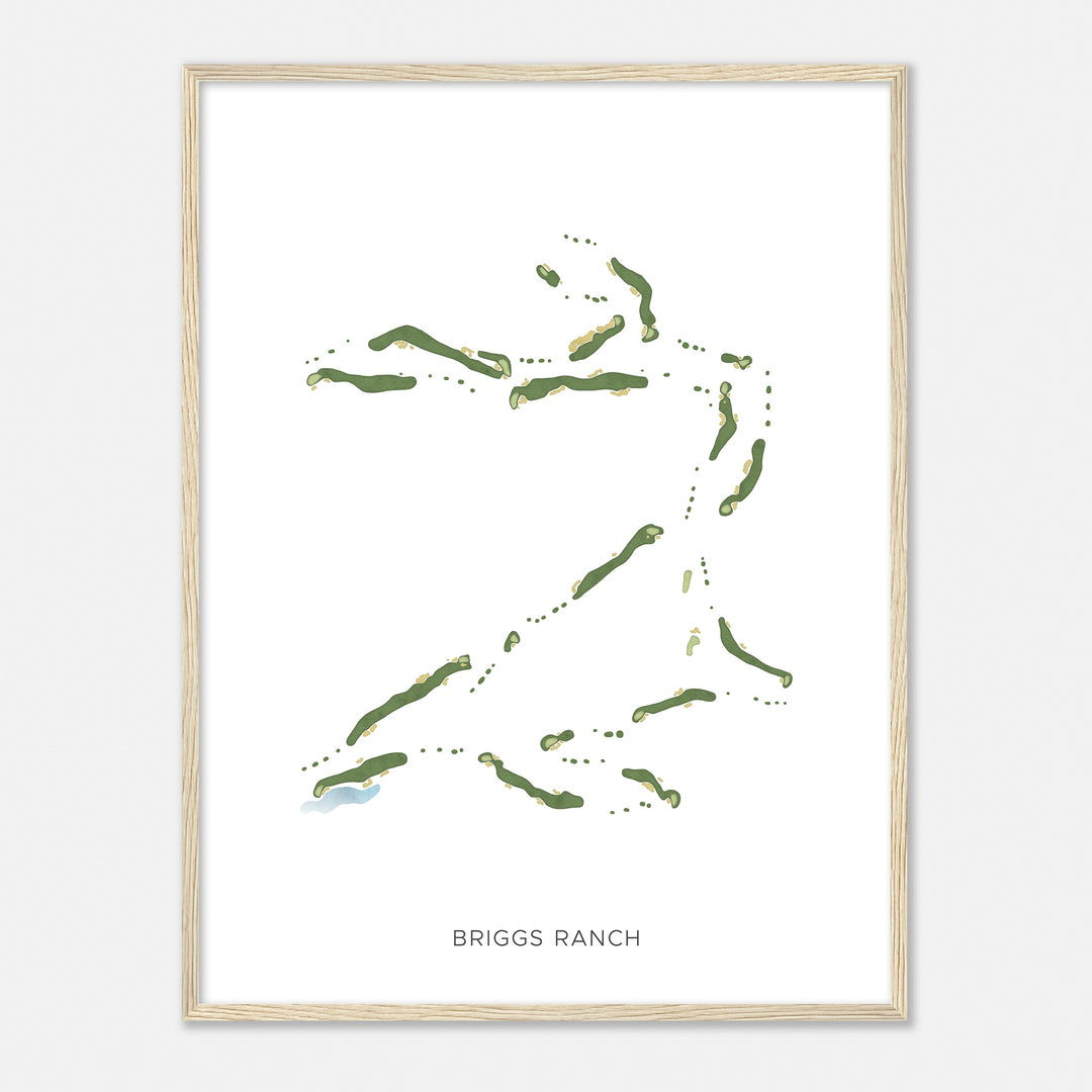 Print of Briggs Ranch Modern Map