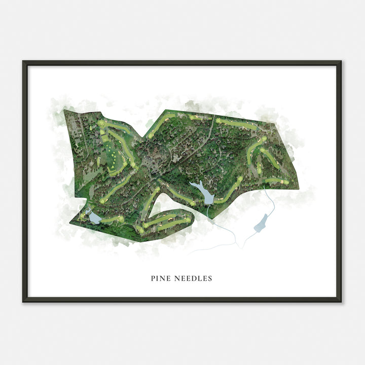 Print of Pine Needles Classic Map