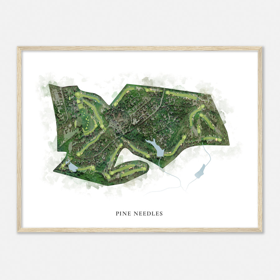Print of Pine Needles Classic Map